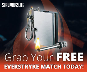 Free everstryke match